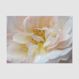 Die Rose Seidenpapier