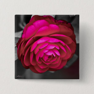 Die rosige Kamelie Button