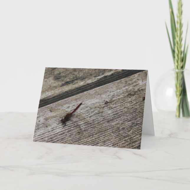 Die rote Dragonfly Karte (Vorderseite)