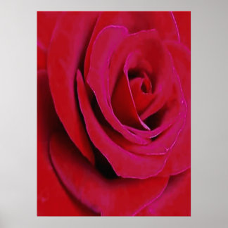 DIE ROTE ROSE                                      POSTER