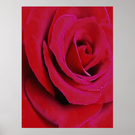 DIE ROTE ROSE POSTER
