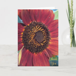 Die Rote Sonnenblume Danke-Karte Dankeskarte