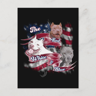 Die roten, weißen und blauen Hunde Postkarte