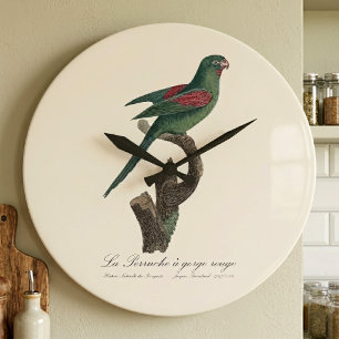 Die Rotkehl-Sittich Große Wanduhr