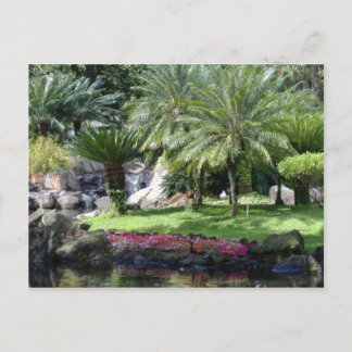 Die Ruhe auf Kauai Postkarte