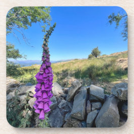 Die Ruhe des englischen ländlichen Raums Getränkeuntersetzer