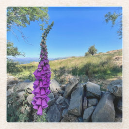 Die Ruhe des englischen ländlichen Raums Glasuntersetzer