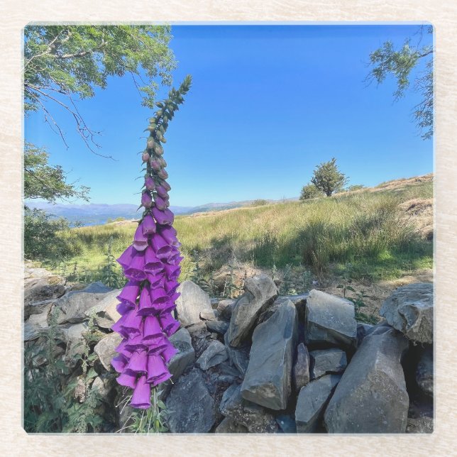 Die Ruhe des englischen ländlichen Raums Glasuntersetzer (Vorderseite)