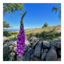 Die Ruhe des englischen ländlichen Raums Poster