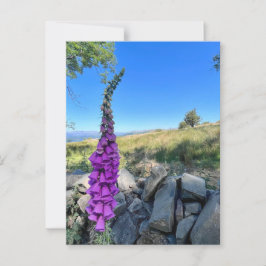 Die Ruhe des englischen ländlichen Raums Postkarte