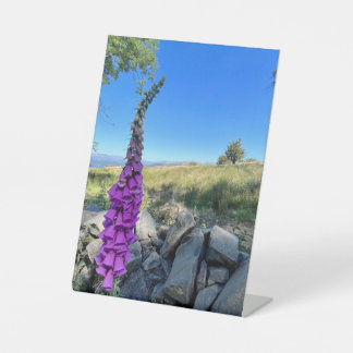 Die Ruhe des englischen ländlichen Raums Sockelschild