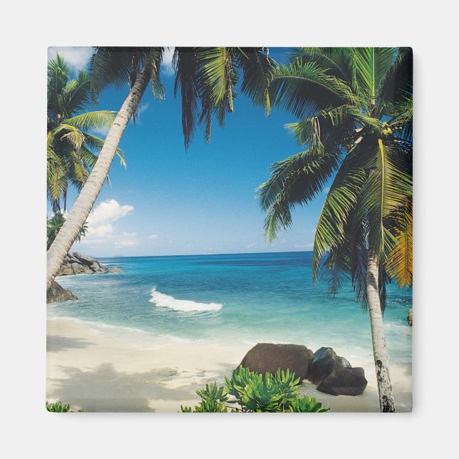Die Ruhe dieses Mauritius Beach Magnet (Vorne)