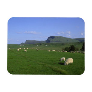 Die ruhigen Berge, die Insel Skye, die Highlands, Magnet