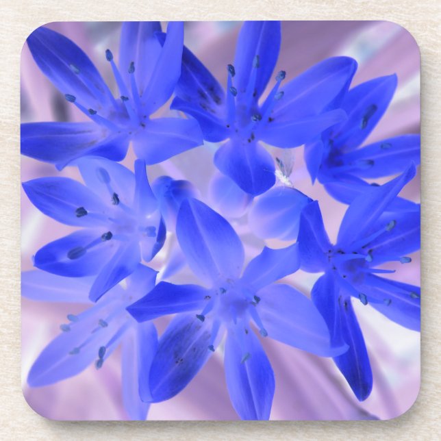 Die Ruhm des schneebedeckenden Blue Cork-Untersetz Untersetzer (Vorderseite)