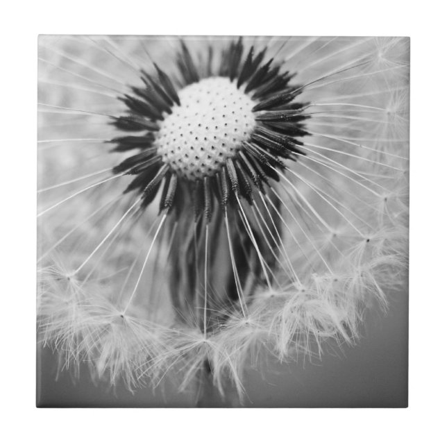 Die Samen von morgen Fliese (Vorderseite)
