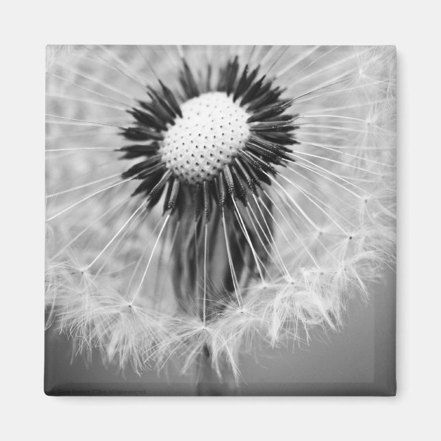 Die Samen von morgen Magnet (Vorne)