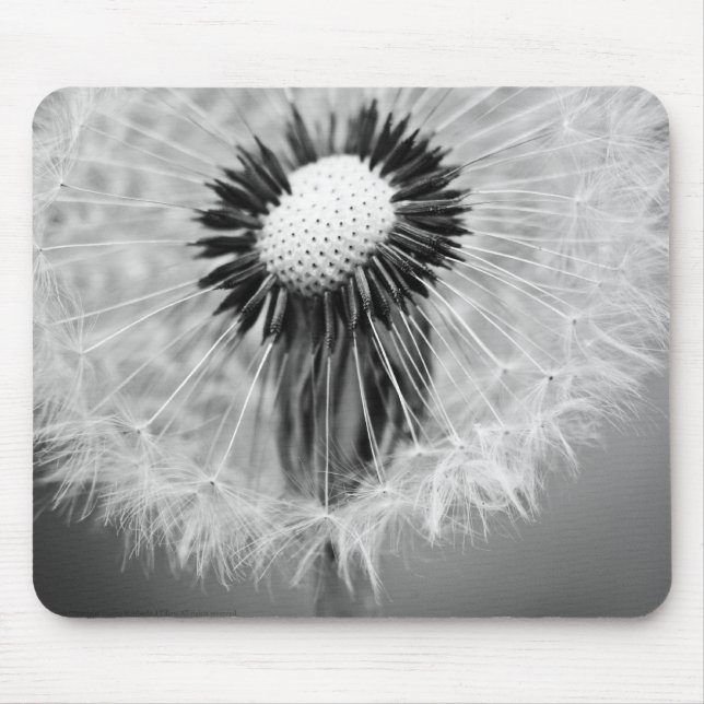 Die Samen von morgen Mousepad (Vorne)