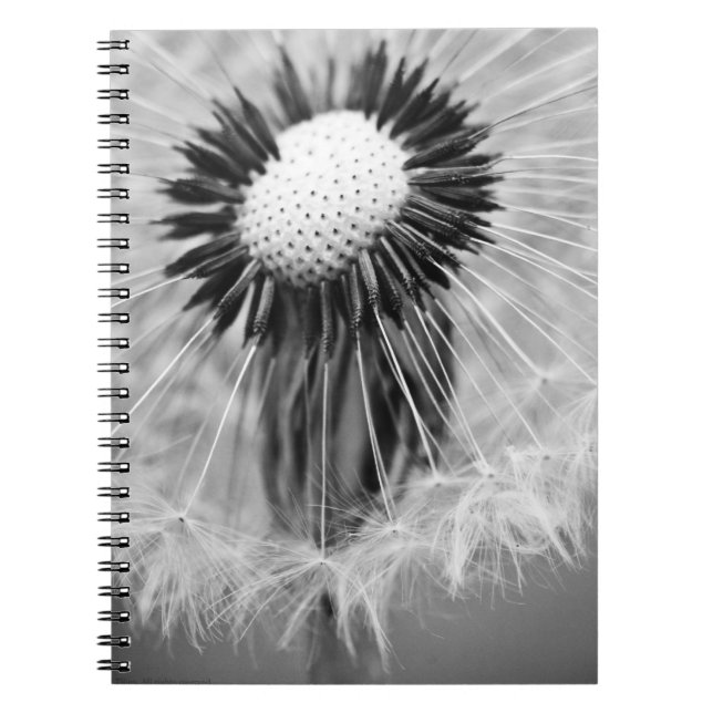 Die Samen von morgen Notizblock (Vorderseite)