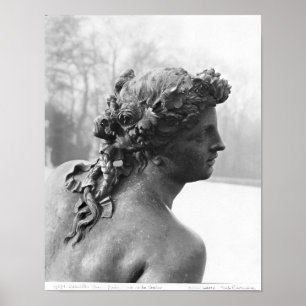 Die Saone vom Parterre Poster