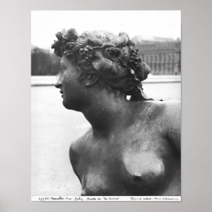 Die Saone vom Parterre Poster