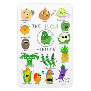 Die saubere 15 illustrierte Liste - 2017 Magnet