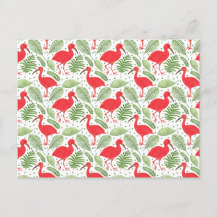 Die Scarlet-Ibis Postkarte