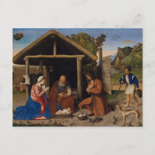 Die Schäfer Postkarte