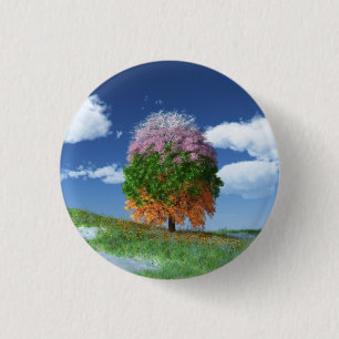Die Schaltfläche "Saisonstruktur" Button
