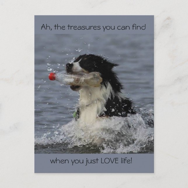 Die Schätze des Lebens, Postkarte (Vorderseite)