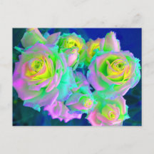 Die schillernden perligen Rosen