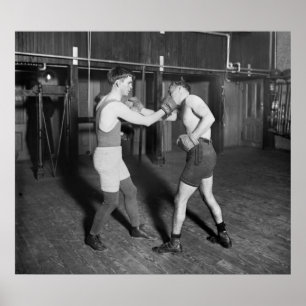 Die Schlacht gegen Nelson alias The Dable Dane: 19 Poster