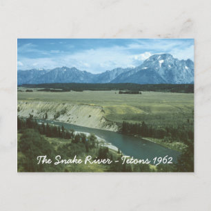 Die Schlangenwälder Teton Postkarte