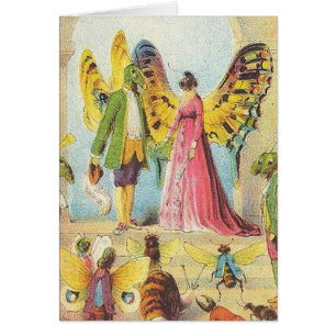 Die Schmetterlingskalle