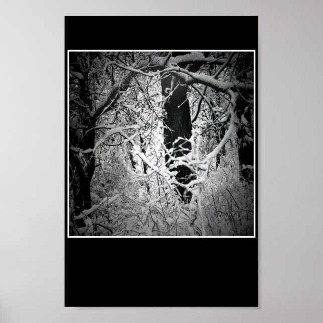 die Schneekönig Poster (Vorne)