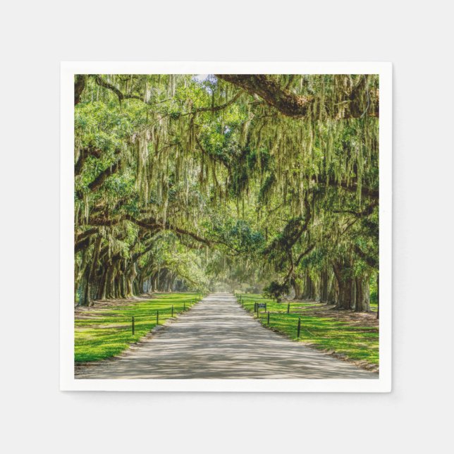 Die schöne Allee der Eichen Serviette (Vorderseite)