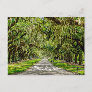 Die schöne Allee Oaks danke Ihnen Postcard Postkarte