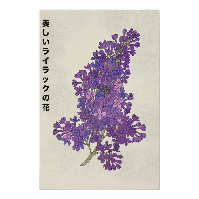 Die schöne Fliederblüte Poster (Vorderseite)