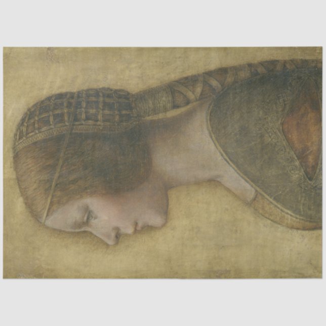 Die schöne Prinzessin (von Leonardo da Vinci) Seidenpapier (Vorderseite)