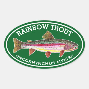 Die schöne Regenbogenforelle Ovaler Aufkleber