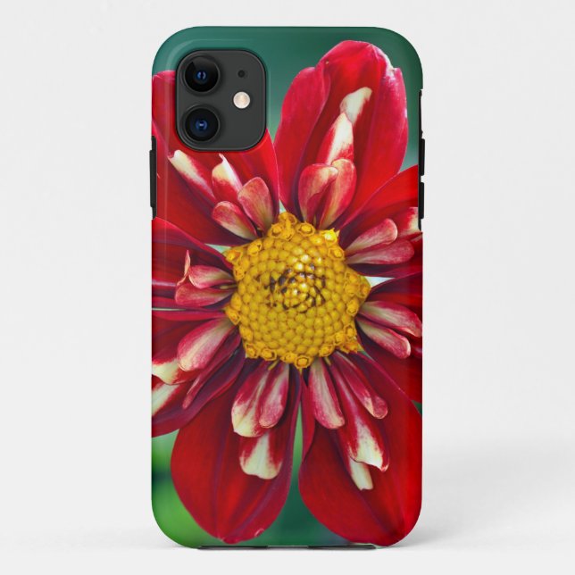 Die schöne rote Dahlia-Printkiste Case-Mate iPhone Hülle (Rückseite)