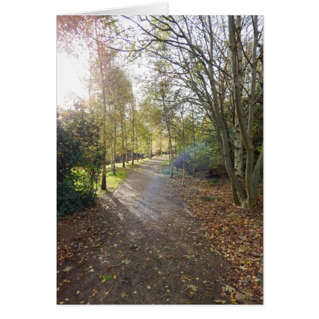 Die schöne Straße (Vorne)