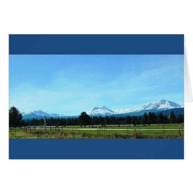 Die schönen Schwestern! (Vorderseite (Horizontal))