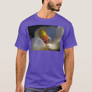 Die Schönheit der Anlage T-Shirt