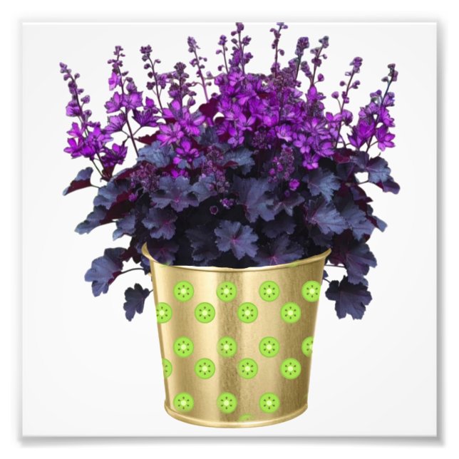 Die Schönheit der Häuser und Blume" Schlüsselwort  Fotodruck (Vorne)