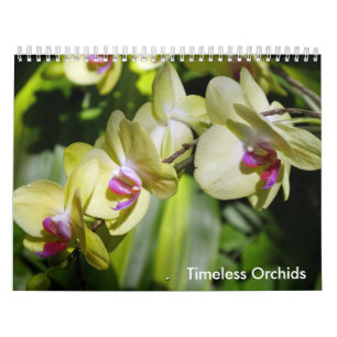 Die Schönheit der Orchideen Kalender