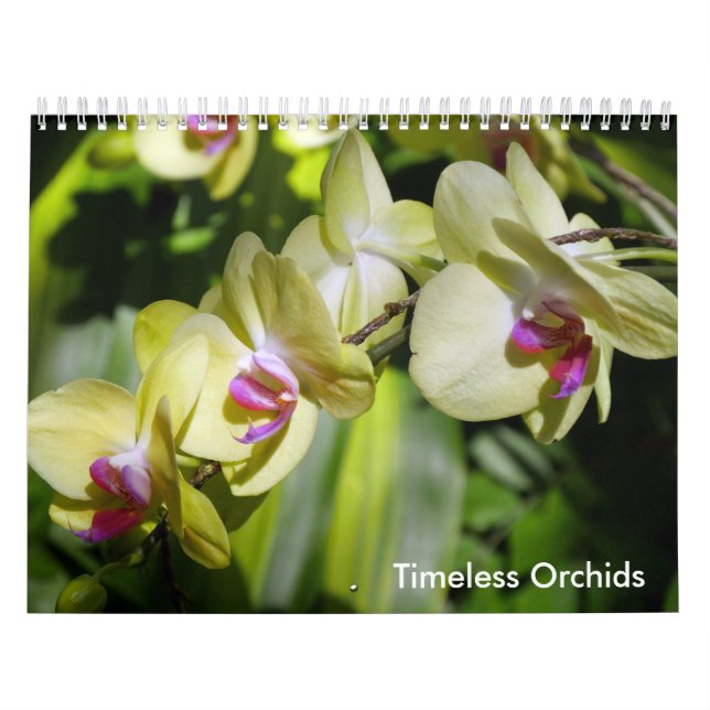 Die Schönheit der Orchideen Kalender (Titelbild)