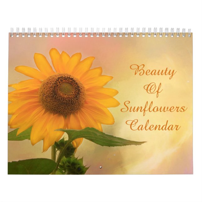 Die Schönheit der Sonnenblumen Kalender (Titelbild)