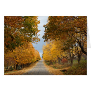 "Die Schönheit des Herbstes "