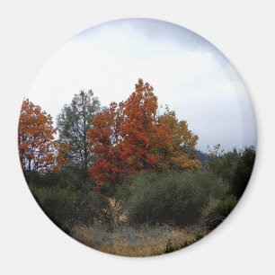 Die Schönheit des Herbstes... Magnet