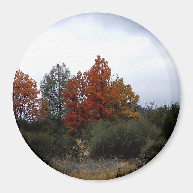 Die Schönheit des Herbstes... Magnet (Vorne)